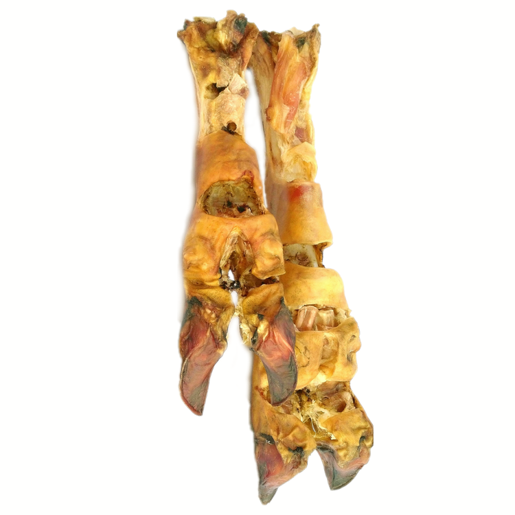 پاچه گوساله