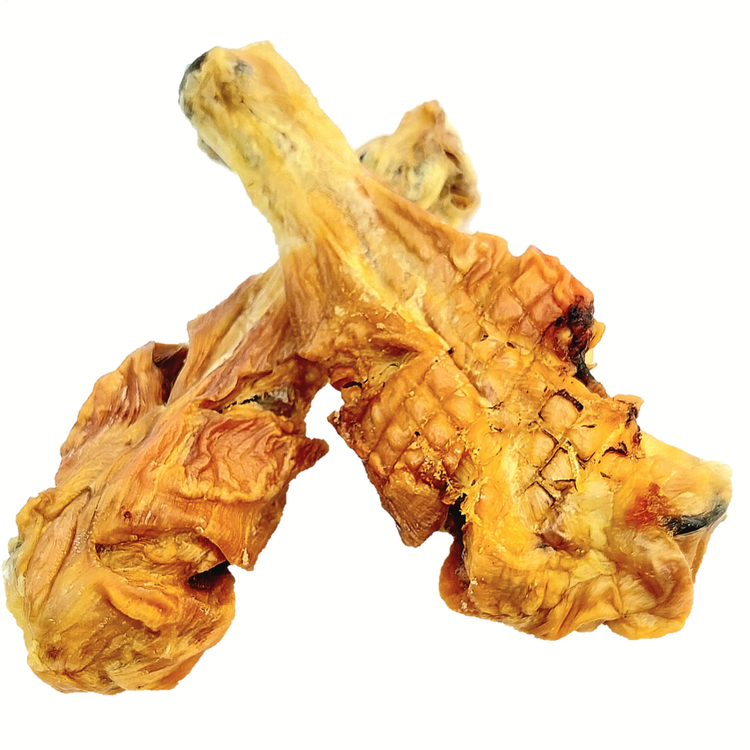 تشویقی ران مرغ