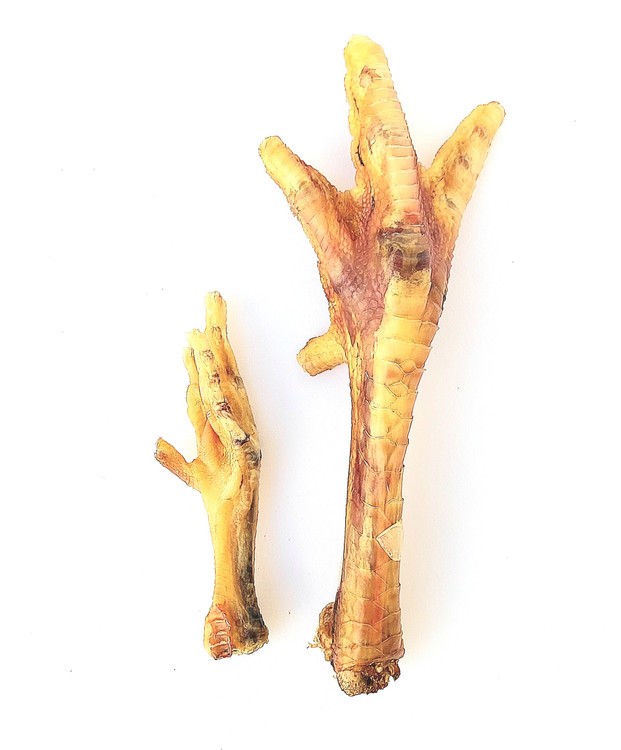 پای بوقلمون