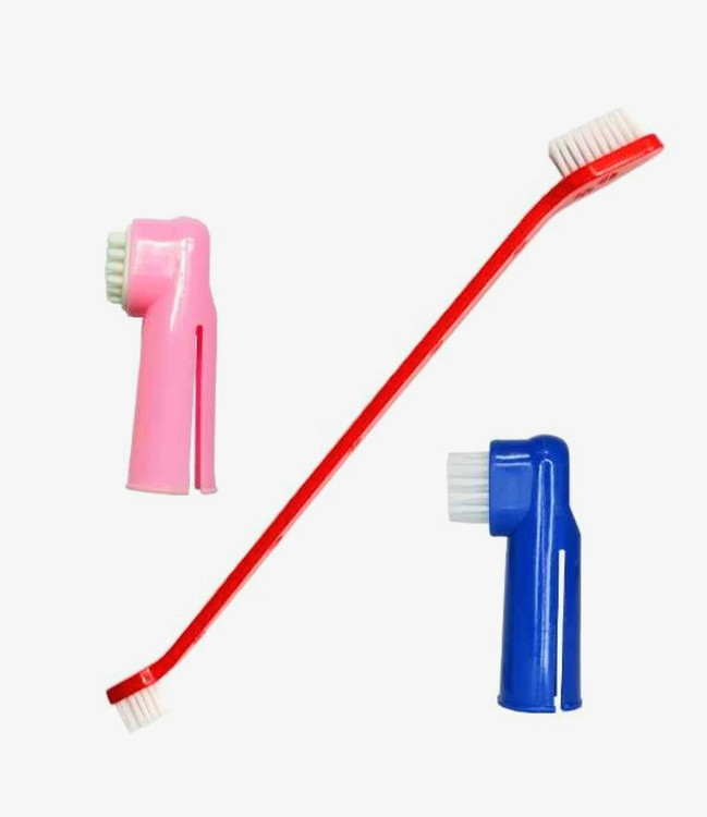 مسواک انگشتی سگ و گربه