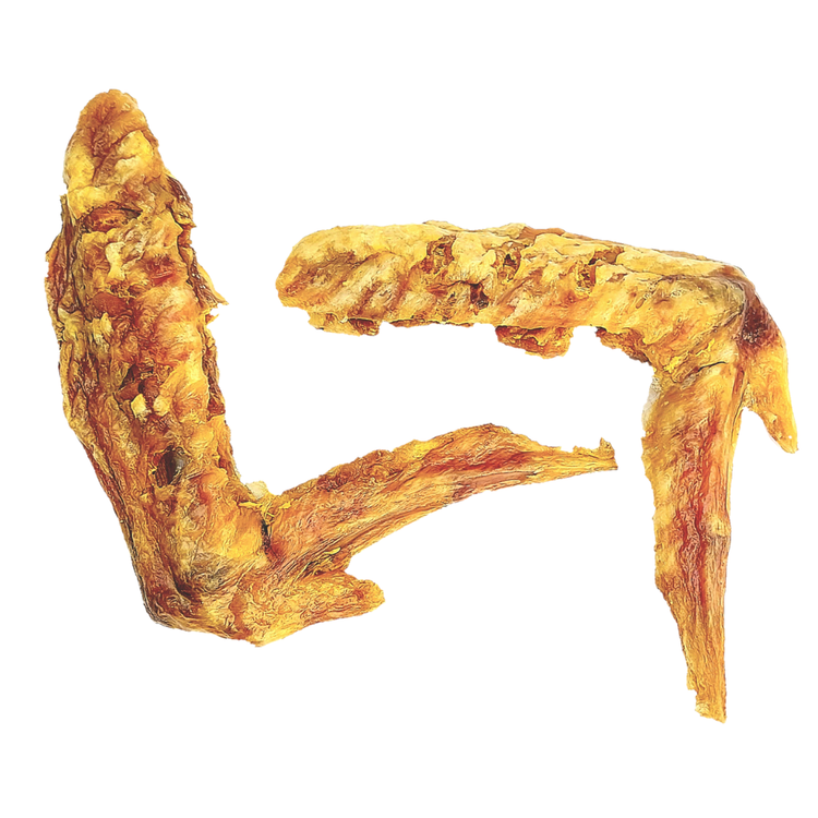 بال بوقلمون