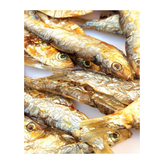 تشویقی گربه