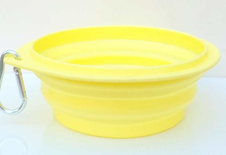 ظرف غذای سگ و گربه