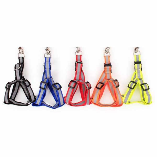 قلاده تنی شبرنگی