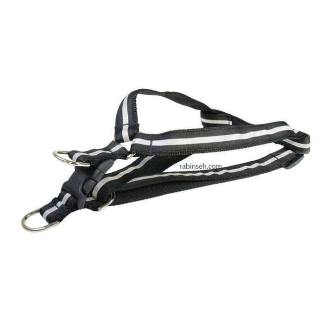 قللده تنی شبرنگ