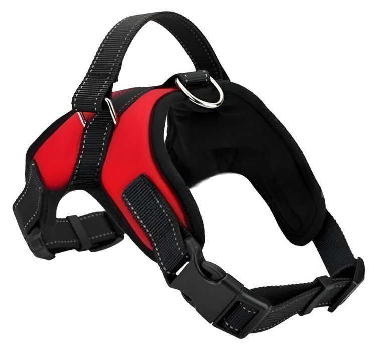 قلاده تنی سگ