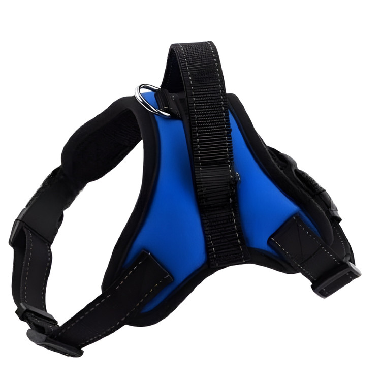 هارنس شب نما