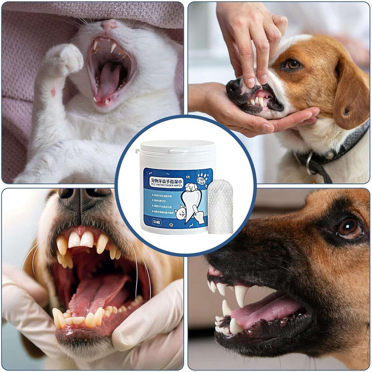 دستمال مرطوب تمیزکننده دندان